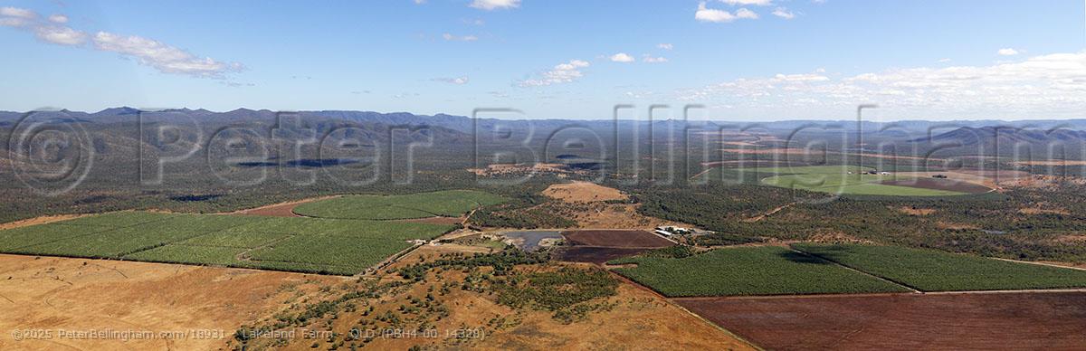 Peter Bellingham Photography Lakeland Farm - QLD (PBH4 00 14328)